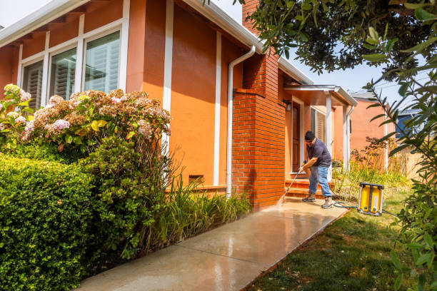 Best Pressure Washing Patio  in Aldine, TX