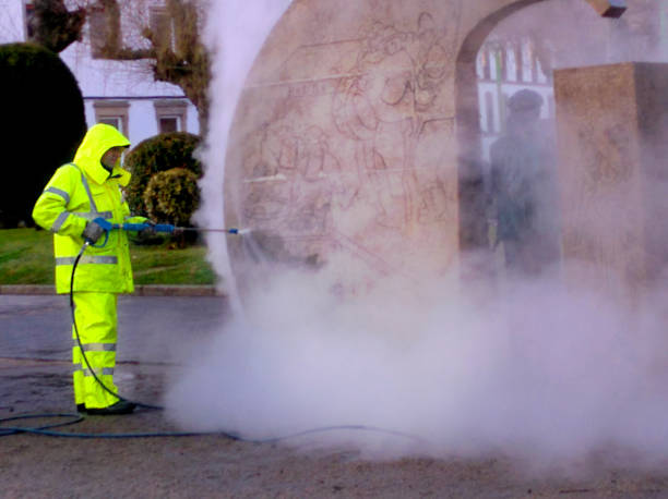 Best Local Pressure Washing Services  in Aldine, TX